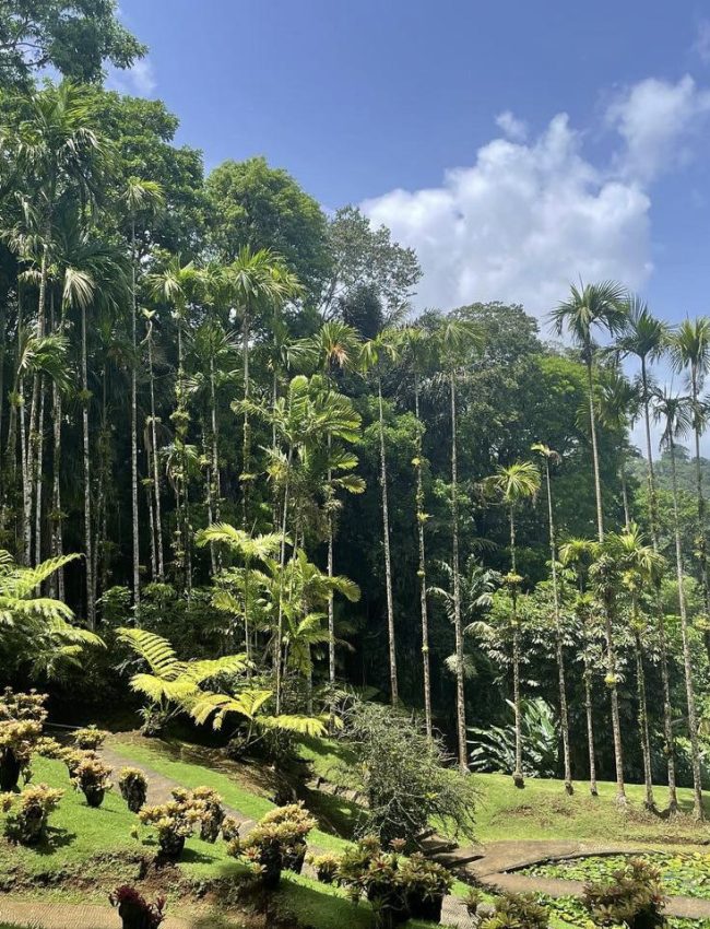 1-0a290c61-ffb0-4875-94b9-00817d549089