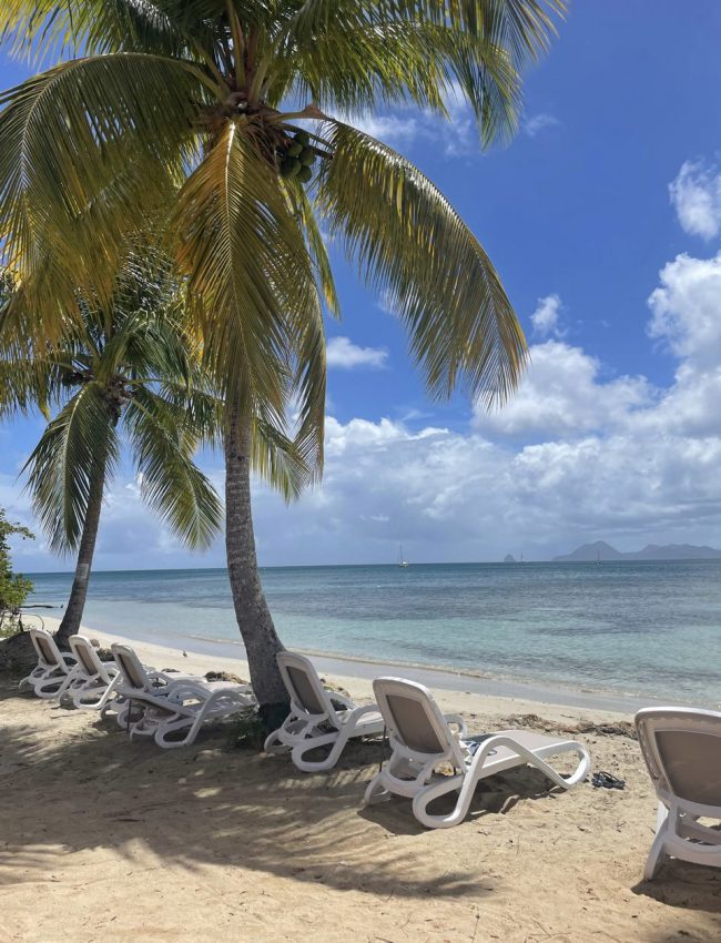 11-a243d369-0a6b-424d-986b-b2542289204c