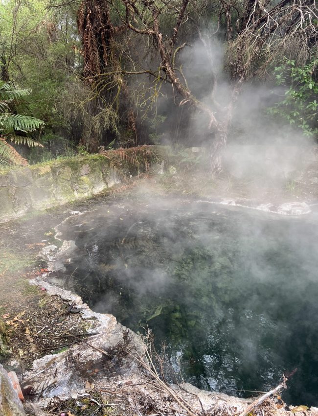 13-3 roturoa souffre (2)