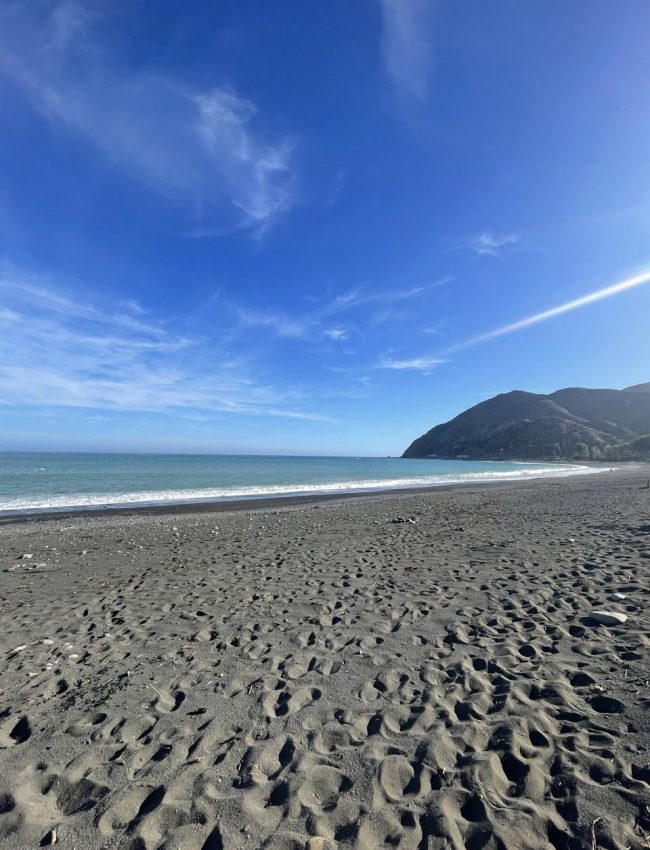 14-1274d308-83d8-4547-9bcf-6cd5b8269e48