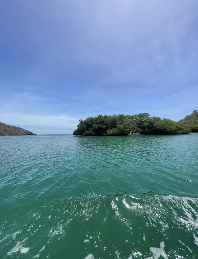 17-cb90760b-c6c4-4902-9e8b-eca64b827759