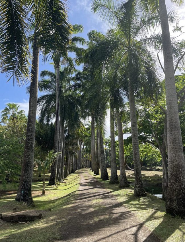 18-d6f7775b-d8d3-4874-8d12-109c410b03ab