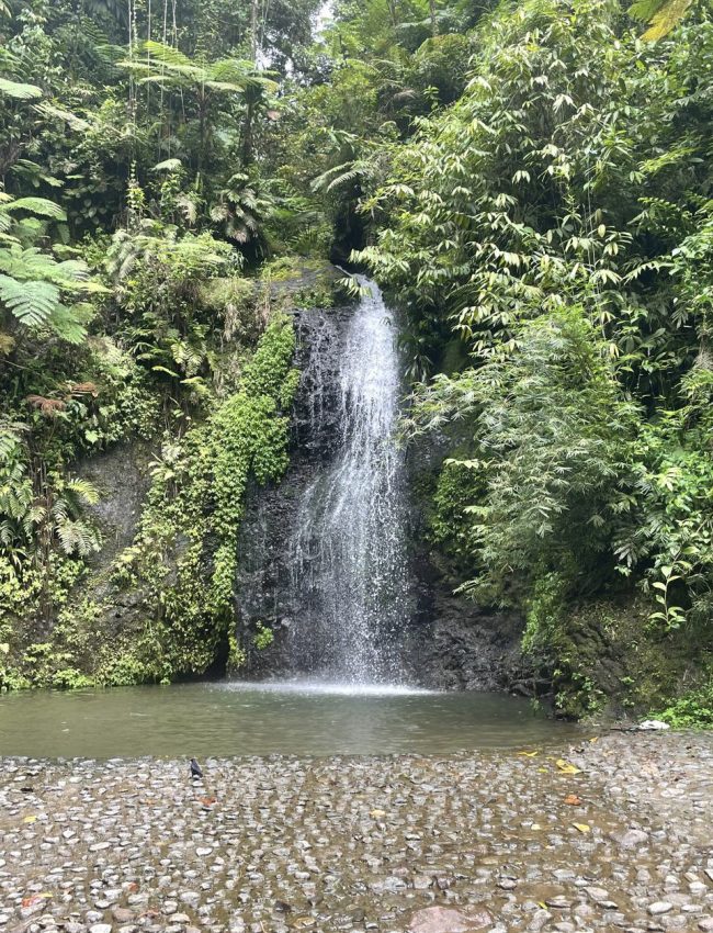 20-f4d6e0ec-42b7-44bc-8c31-4be55f28c2a3