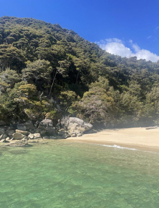 24-fdabe1ce-0b66-4b7a-a39a-e681143de016