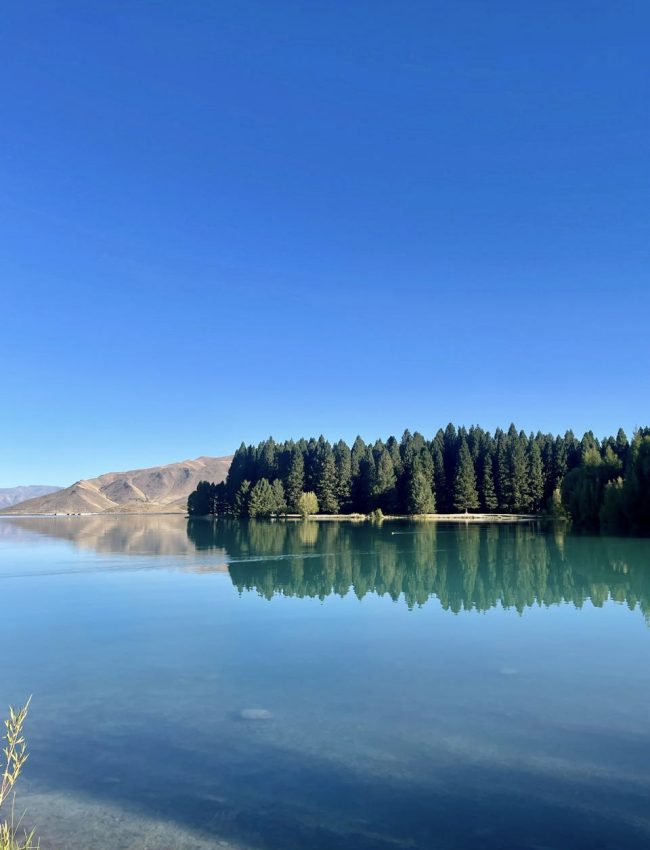 28-6e7ca02f-619b-4d83-b24f-299466577581