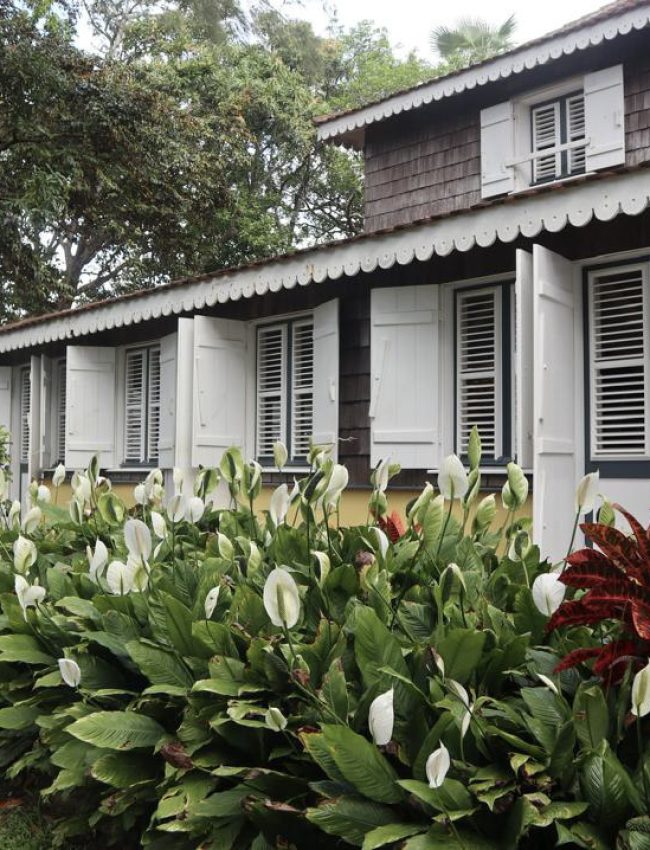 6-74042344-9b8a-478b-9eba-a9bd2bdad908