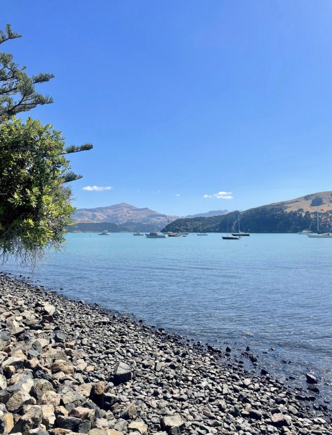 7-061a11a5-0869-4b60-b237-cd4013bd4e09