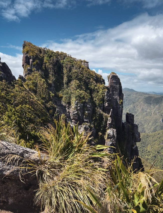 8-2d KAueranga trek (1)